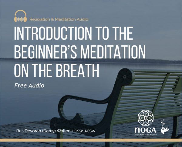 Introduction to the Beginner’s Meditation on the Breath
