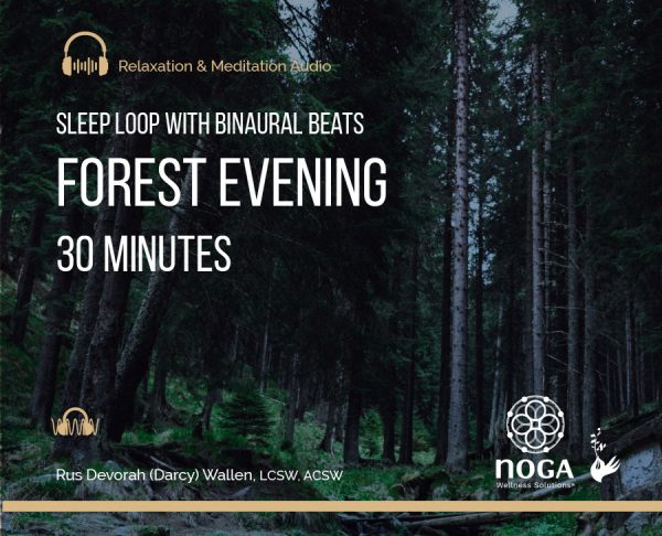Forest Evening: 30-Minute Sleep Loop with Binaural Beats
