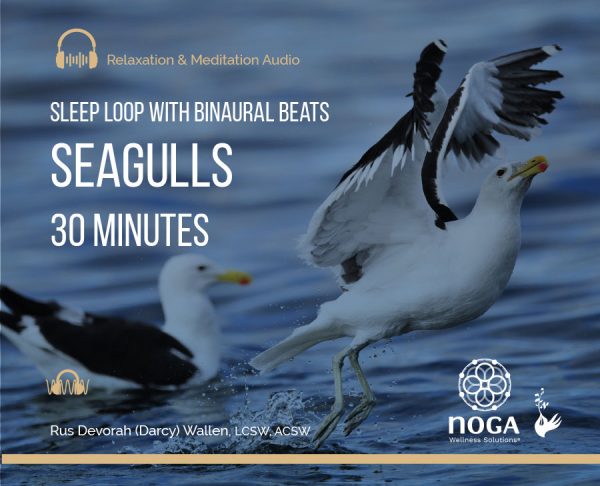 Seagulls: 30-Minute Sleep Loop with Binaural Beats