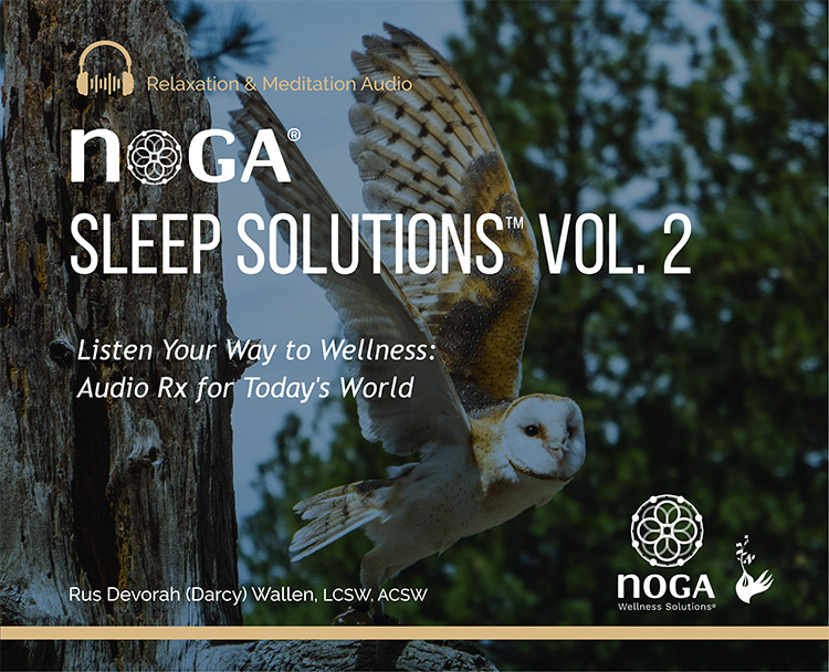 tora-noga-volume-02