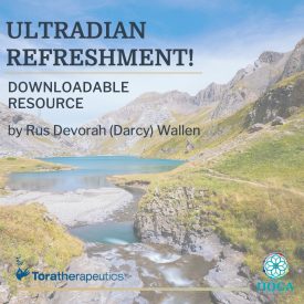 ultradian-refreshment