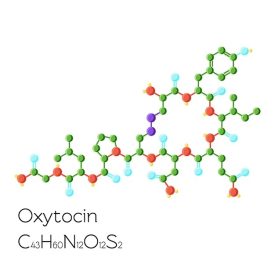 oxytocin-hormone-structural-chemical-formula_67515-178