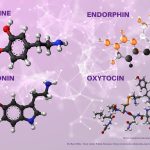 Microdosing Happiness With Endogenous Substances