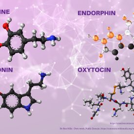 tora-endogenous-substances