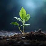 THE DESCENT THAT ELEVATES How Struggle, Stillness, & Subtle Effort Become Spiritual Growth