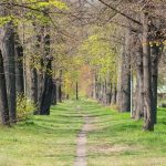 BELIEVE TO RECEIVE – A TORAH & NEUROSCIENCE FRAMEWORK